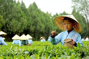 必威官方网站手机版下载地址